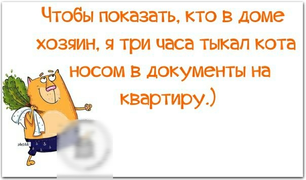 Чтобы показать кто в доме хозяин я три часа тыкал кота носом в документы на квартиру