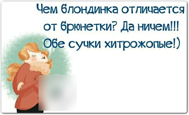 Чем блондинка отличается от брюнетки Да ничем Оёе сучки хитрожопые