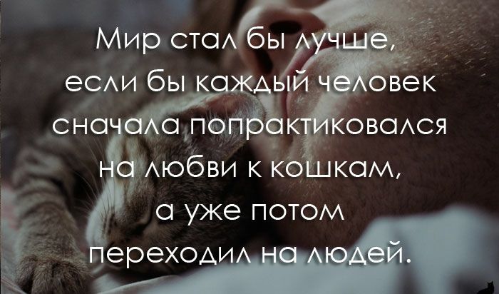 Мир сто еСАИ бы БО сно оіпогі овася Аюбви к кб ком а уже потом ереХОА