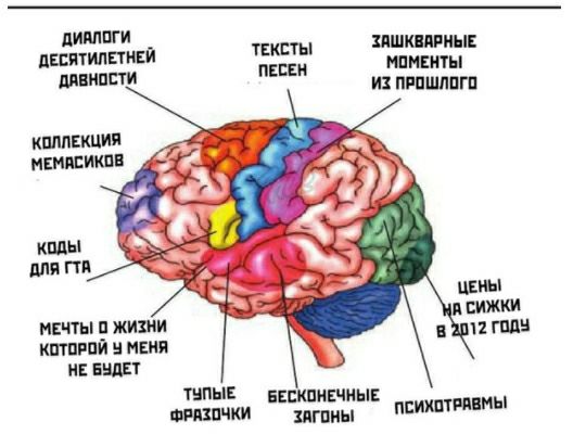 пииппги диптиппнвй тниппи иШКПРИЫЕ ШНЕНТН 3 ПРПШЛПГП ТЕКСТЫ НЕБЕ КШПЕКЦИП НЕМПБИКПВ МЕПЫ П ЖИЗНИ КШПРПЙ НБКИ НЕ ЕНДЁ ТНПЫЕ ЕЕЕКПНЕЧИЫЕ игпиы психштиы