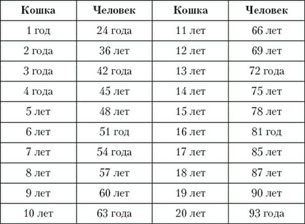 Кошка Человек Кошка Человек 1 год 24 года 1 1 лет 66 лет 2 года 36 лет 12 лет 69 лет 3 года 42 года 13 лет 72 года 4 года 45 лет 14 лет 75 лет 5 лет 48 лет 15 лет 78 лет 6 лет 51 гад 16 лет 81 год 7 лет 54 года 17 лет 85 лет 8 лет 57 лет 18 лет 87 лет 9 лет 60 лет чет 90 лет 10 лет 63 года 20 лет 93 года