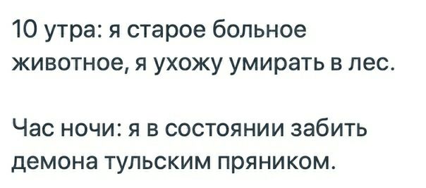 10 утра я старое больное животное я ухожу умирать в лес ЧЭС НОЧИ Я В СОСТОЯНИИ ЗЭбИТЬ демона ТУЛЬСКИМ пряником