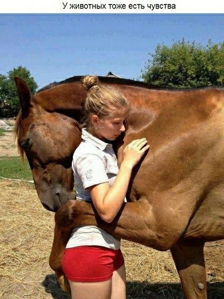 у животных тоже есть чувства