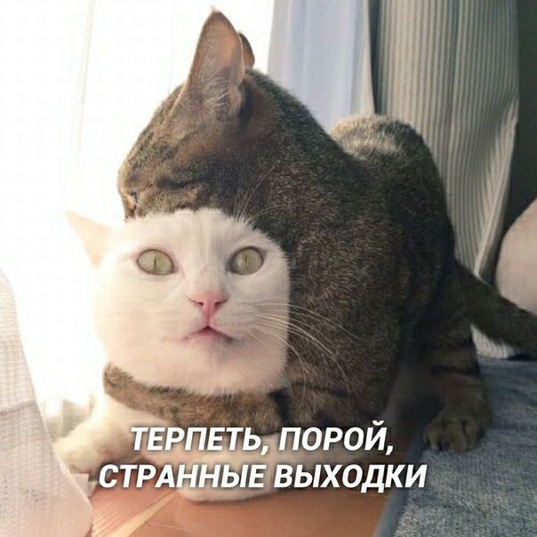 ЕРП ТЬдПОРОЙ СТРА ЫЕ ВЫХОДКИ