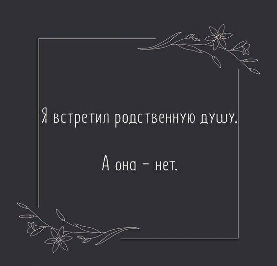 Я встретил родственную душу дона нет