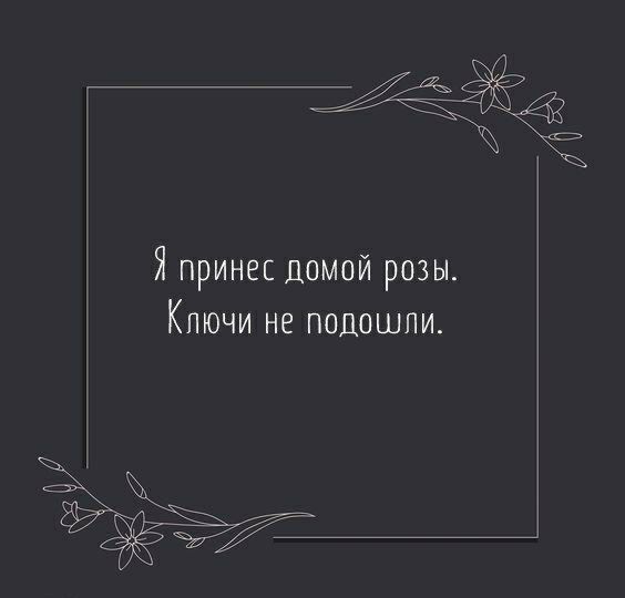 Я принес домой розы Ключи не подошли