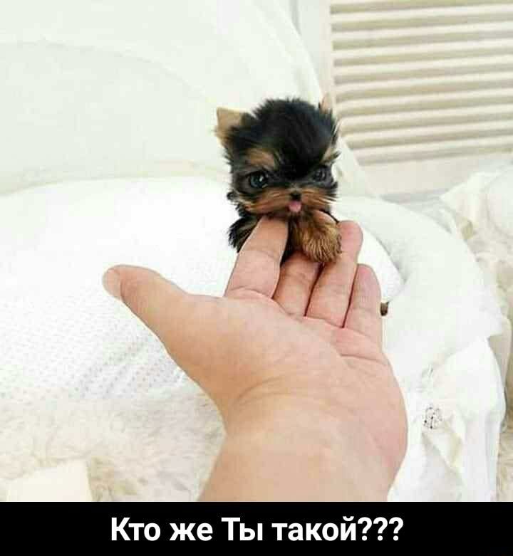 Кто же Ты такой