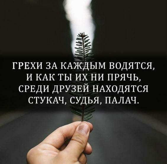 ГРЕХИ ЗА КАЖДЫМ ВОДЯТСЯ И КАК ТЫ ИХ НИ ПРЯЧЬ СРЕДИ ДРУЗЕЙ НАХОДЯТСЯ СТУКАЧ СУДЬЯ ПАЛАЧ О