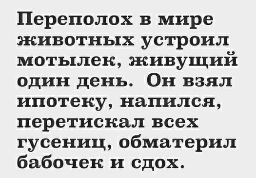 Переполох в мире животных устроил мотылек живущий один день Он взял ипотеку напился перетискал всех гусениц обматерил бабочек и сдох