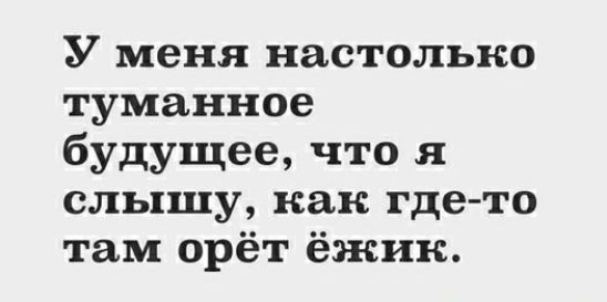 У меня настолько туманное будущее что я слышу как где то там орёт ёжик