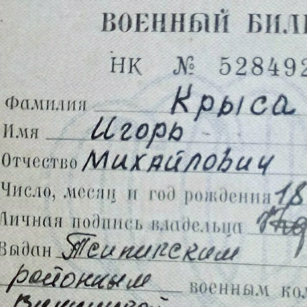 вовннып вил Нк 52849 Фамилии КРф са Имя __2000 Отчество МДХ4617705 Число мшгнц нм шннп Личная подписи пмпнчьцц Выдан ЁСЁСЩ__ _ _ДЁЦЁШад вагины нп А 111111ЭА