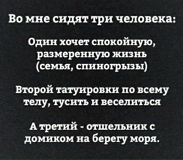 Во мне сидят три человека Один хочет спокойную размеренную жизнь семья спиногрызы Второй татуировки по всему телу туситъ и веселиться А третий отшельник с домиком на берегу моря