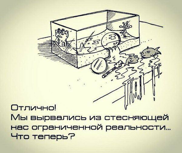 Отлично Мы вырвались из отеоняющей нео ограниченной реальности Что теперь
