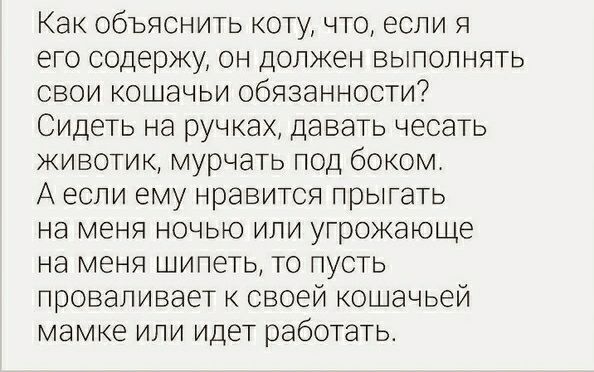 Как объяснить коту что если я его содержу он должен выполнять свои кошачьи обязанности Сидеть на ручках давать чесать кивотик мурчать под боком А если ему нравится прыгать на меня ночью или угрожающе на меня шипеть то пусть проваливает к своей кошачьей мамке или идет работать