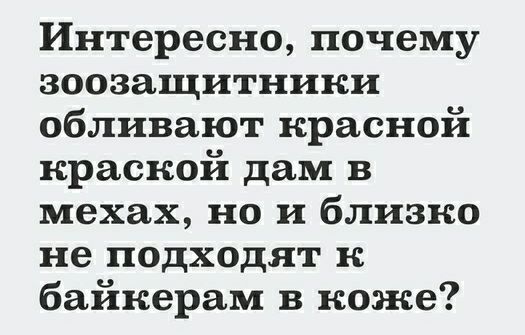 Интересно почему зоозащитники обливают красной краской дам в мехах но и близко не подходят к байкерам в коже