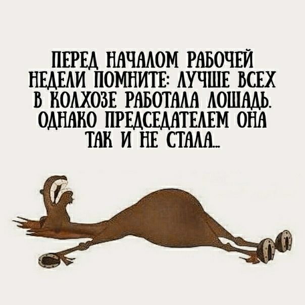 ПЕРЕД НАЧААОМ РАБОЧЕИ НШАИ ПОМНИТЕ АУЧШЕ ВСЕХ В КОАХОЗЕ РАБОТААА АОШААЬ ОАНАНО ПРЕДСЕААТЕАЕМ ОНА ТАН И НЕ СТААА