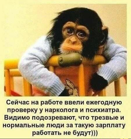 Сейчас на работе ввепи ежегодную проверку у нарколога и психиатра Видимо подозревают что трезвые и нормальные люди за такую зарплату работать не будут