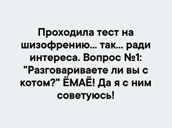 Проходила тест на шизофрению так ради интереса Вопрос 1 Разговариваете ли вы с котом ЁМАЁ да я с ним советуюсь