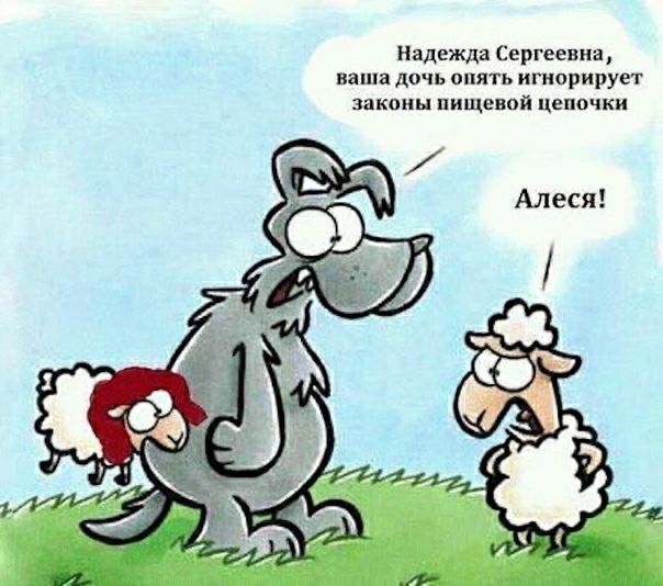 Надежда Сергеевна ваша дочь опять игнорирует законы пищевой цепочки