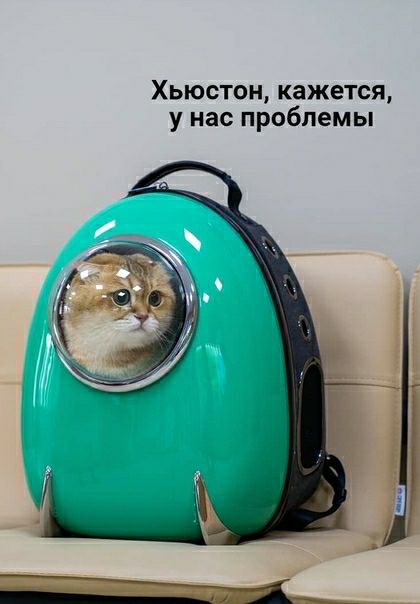 Хьюстон кажется у нас проблемы зёт я судя по всему нереальный интеллектуал
