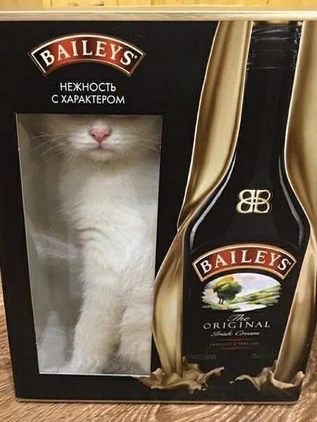 НЕЖНОСГЬ С ХАРАКТЕРОМ