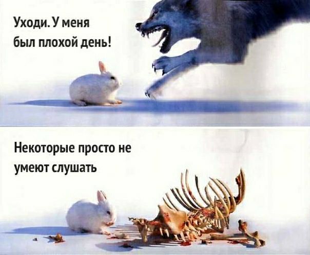УходиУ меня бьш плохой день Некоторые просто не умеют слушать