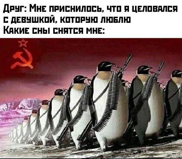 двиг Мн приснились чтп ЦЕлпвплпя дввншкпй кптппнш лшвлш Кики ны снятся мнс