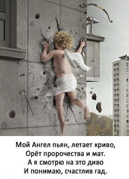 Мой Ангел пьян летает криво Орёт пророчества и мат А я смотрю на это диво И понимаю счастлив гад