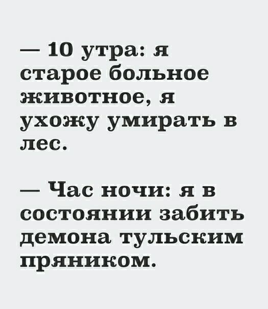 10 утра я старое больное животное я ухожу умирать в лес Час ночи я в состоянии забить демона тульским прянином