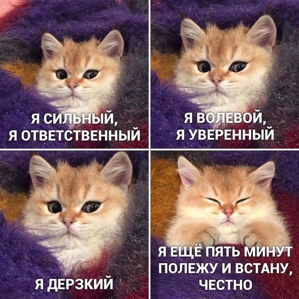 ПОЛЕЖУ И ВСТАНУ чвстно