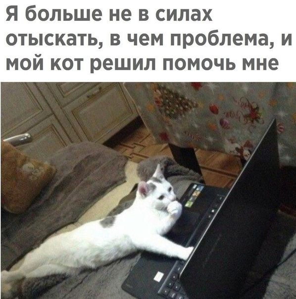 я больше не в силах отыскать в чем проблема и мой кот решил помочь мне