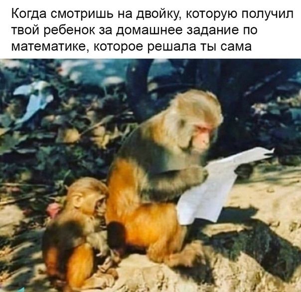 Когда смотришь на двойку которую попучип твой ребенок за домашнее задание по математике которое решала ты сама