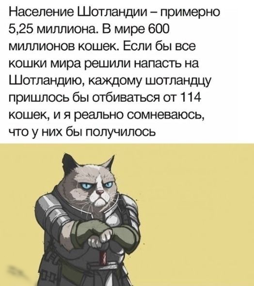 Население Шотландии примерно 525 миллиона В мире 600 миллионов кошек Если бы все кошки мира решили напасть на Шотландию каждому шотландцу пришлось бы отбиваться от 114 кошек и я реально сомневаюсь что у них бы получилось