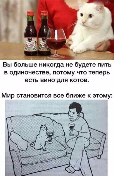 Вы больше никогда не будете пить Б ОДИНОЧЕСТВЭ ПОТОМУ ЧТО теперь ЭСТЬ ЕИНО дЛЯ КОТОВ Мир становится все ближе к этому