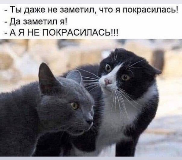 ТЫ даже Не ЗЭМЭТИЛ ЧТО Я покрасилась Да заметил я А Я НЕ ПОКРАСИПАСЬ 4 С 3