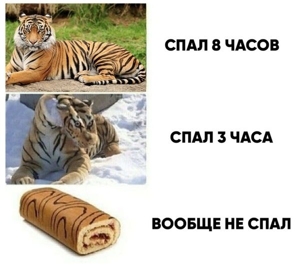 СПАЛ В ЧАСОВ СПАЛ З ЧАСА ВООБЩЕ НЕ СПАЛ