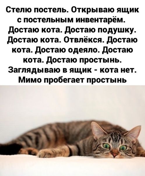 Стелю постель Открываю ящик с постельным инвентарём достаю кота достаю подушку достаю кота Отвпёкся достаю кота достаю одеяло достаю кота достаю простынь Заглядываю в ящик кота нет Мимо пробегает простынь