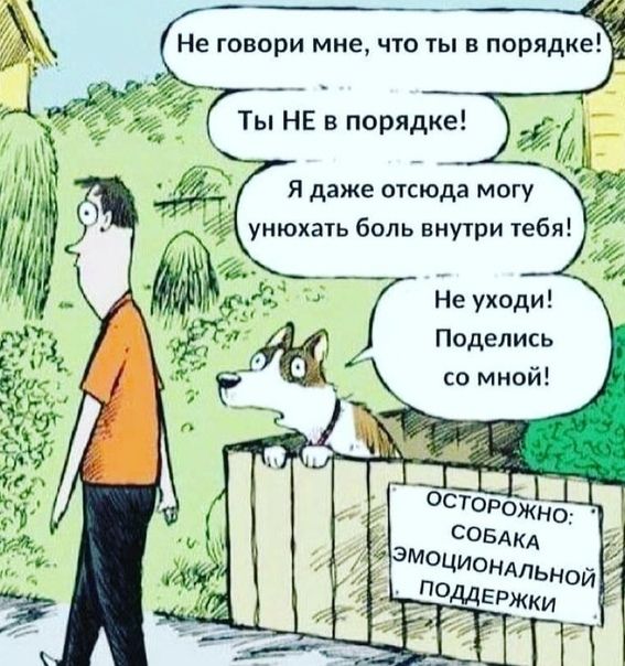 Я даже отсюда могу унюхать боль внутри тебя _ Не уходи Поделись