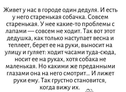 Живету нас в городе один дедуля И есть у него старенькая собачка Совсем старенькая У нее какие то проблемы с лапами совсем не ходит Так вот этот дедушка кактопько наступает весна и теплеет берет ее на руки выносит на улицу и гуляет ходитчасами тудасюда носит ее на руках хотя собака не маленькая Но какими же преданными глазами она на него смотрит И лижет руки ему Так грустно становится когда вижу и