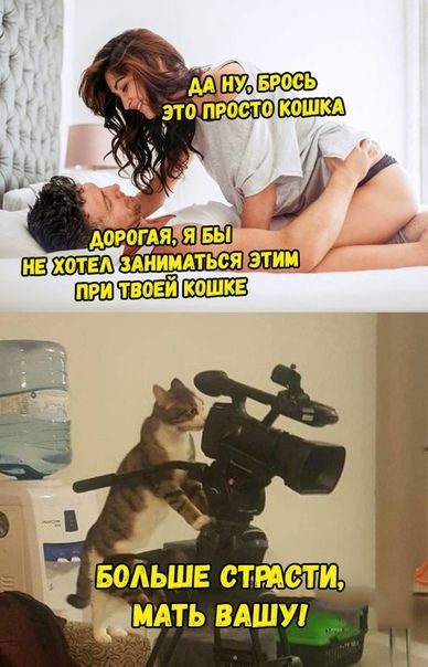 _ МАТЬ ВАШУ