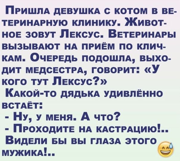 Пришпд дввушкд с котом в вв твриндрную клинику Живот нов зовут Лексус ВЕТЕРИНАРЫ вызывдют НА пгиЕм по клич КАМ ОЧЕРЕДЬ ПОдОШЛА выхо дит мвдсвстм говорит У кого тут Лексус КАкой то дядьм удивлённо всТАЁт Ну у меня А что Проходите НА КАСТРАЦИЮ Видели вы вы ГЛАЗА этого мужиклх