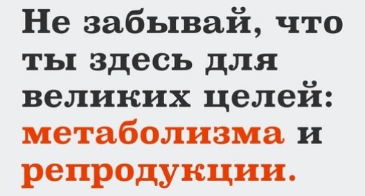 Не забывай что ты здесь для великих целей метаболизма и репродукции