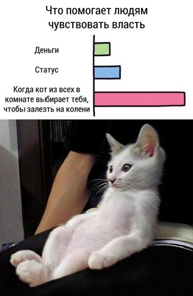 ЧТО помогает ЛЮДЯМ ЧУВСТВОВЗТЬ впасть деньги Статус Когда из всех комнатевьбираеттебж чтобьхзапезтьна колени