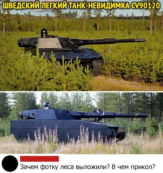 Зачем фотку леса выложили В чем прикол