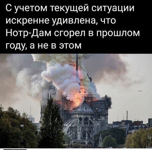 С учетом текущей ситуации искренне удивлена что Нотр Дам сгорел в прошлом году а не в этом