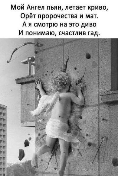 Мой Ангел пьян летает криво Орёт пророчества и мат А я смотрю на это диво И понимаю счастлив гад