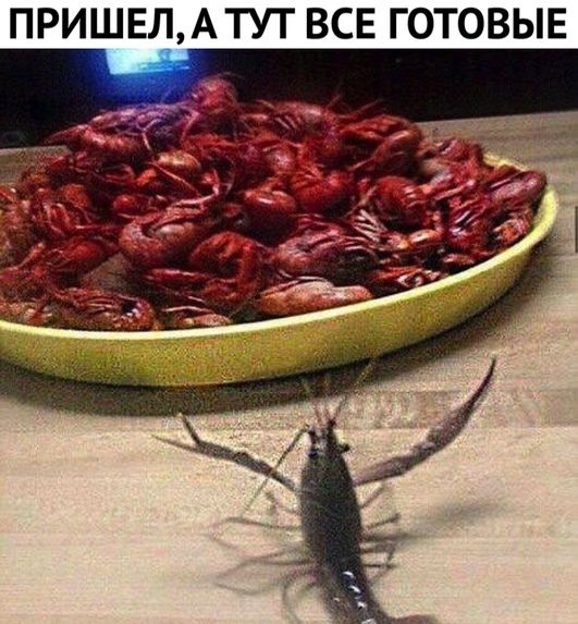 ПРИШЕЛАТУТ ВСЕ ГОТОВЫЕ