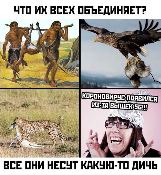 ЧТП ИХ ВСЕХ ПЕЪЕДИНЯЕТ КПРПНПВИРНШППЯИПЕП ИЗ Зд ЕЫШЕЮББ ВСЕ ПНИ НЕЕНТ КПКНШ ТП дИЧЬ