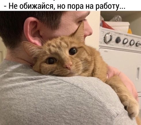 Не обижайся но пора на работу