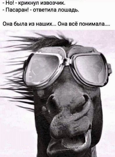 Но крикнул извозчик Пасаран ответила лошадь Она была из наших Она всё понимала